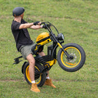 HappyRun Tank G100 Pro