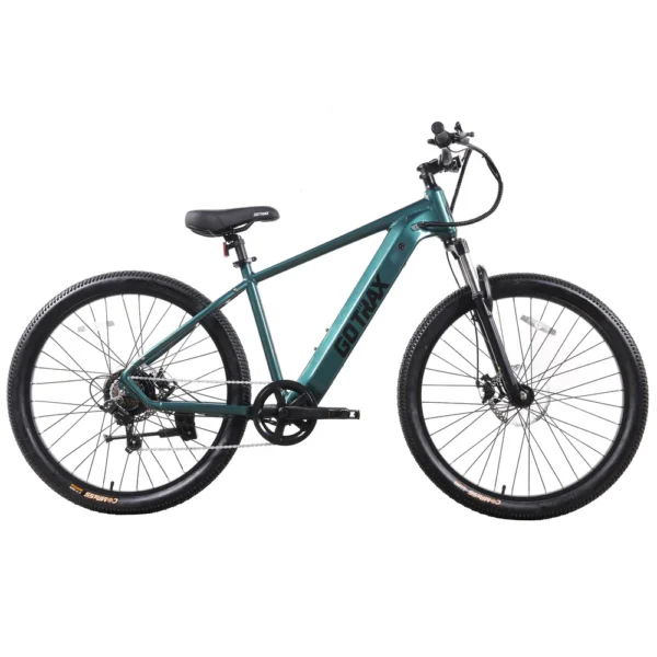 D1RT Electric Mountain Bike